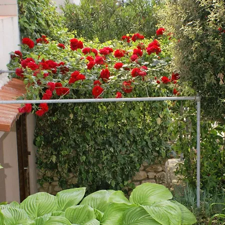 Apartments By The Sea Mandre, Pag - 523